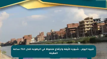 تنبيه اليوم.. شبورة كثيفة وارتفاع ملحوظ في الرطوبة خلال الـ72 ساعة المقبلة